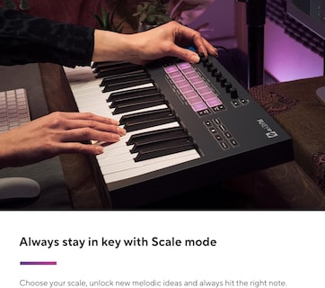 Foto 6 | Foto 6 | Teclado Midi Novation Flkey 37 Con Integración Fl Studio - Venta Internacional.