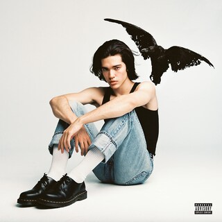 Foto 1 | Foto 1 | Lp De Vinilo Republic Records Kid Krow De Conan Gray - Venta Internacional.
