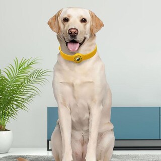 Foto 3 | Foto 3 | Collar Para Perros Huoguo Ligero Con Funda Protectora Airtags - Venta Internacional.
