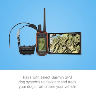 Foto 3 | Foto 3 | Rastreo De Perros Y Navegador Gps Garmin Drivetrack 71 - Venta Internacional.