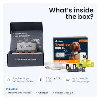 Foto 5 | Foto 5 | Localizador Gps Tractive Xl Para Perros (más De 23 Kg) Con Control De Salud - Venta Internacional.