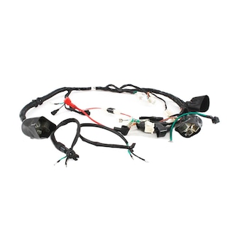 Foto 1 | Foto 1 | Arnes Electrico It Ft 150, Dt 150 Sport, Forza 150, Ft 150 Azul
