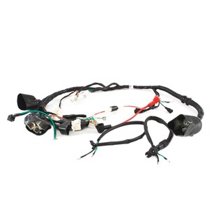 Foto 2 | Foto 2 | Arnes Electrico It Ft 150, Dt 150 Sport, Forza 150, Ft 150 Azul