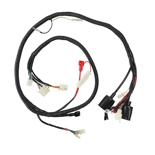 Foto 1 | Foto 1 | Arnés Eléctrico Italika CS 125 (12)/ CS 125 Led (13-20)/ DS 125 (17-20)/ EX 125-T (05-18)