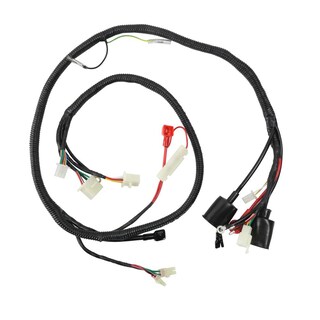 Foto 2 | Foto 2 | Arnés Eléctrico Italika CS 125 (12)/ CS 125 Led (13-20)/ DS 125 (17-20)/ EX 125-T (05-18)