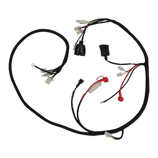 Foto 1 | Foto 1 | Arnés Eléctrico Roda para Italika GS 150 (10-14) GTS 175 (10-14)