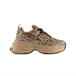 Tenis Sneaker Plataforma Moda 5cm Para Mujer Walki Dania Dorado Oscuro