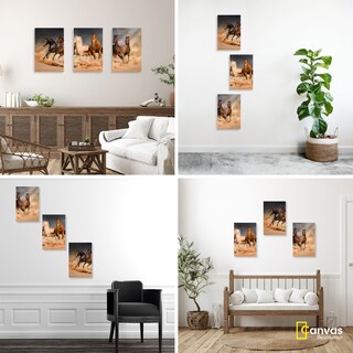 Foto 3 | Foto 3 | Cuadro Canvas Revolution Tríptico Vertical Caballos Desierto Set De 3 Piezas 25 x 38 cm c/u