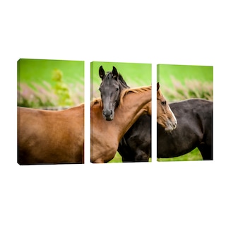 Foto 1 | Foto 1 | Cuadro Canvas Revolution Tríptico Vertical Caballos Abrazo Set De 3 Piezas 25 x 38 cm c/u