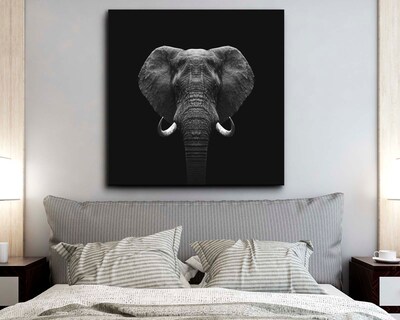 Foto 2 | Foto 2 | Cuadro Decorativo Canvas Art Elefante 120 x 120 cm