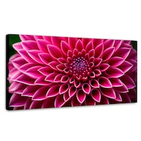 Cuadro Decorativo Canvas Dalia Magenta Flor 120x60