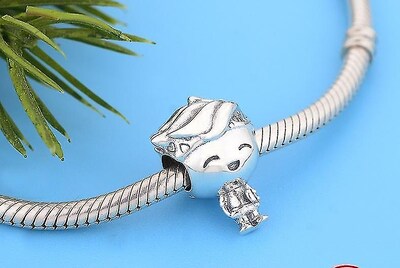 Foto 4 | Foto 4 | Pulsera Con Dijes Huoguo De Plata De Ley 925 Para Niños Y Adolescentes Bricolaje - Venta Internacional.