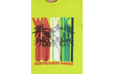 Foto 2 | Foto 2 | Playera Surfboards Hawaii Para Niño Boboli