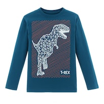 Playera Para Niño Chicos Olé 3254 Azul Manga Larga