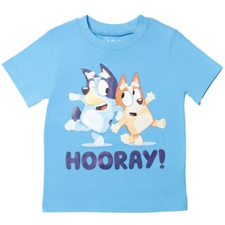 Foto 4 | Foto 4 | Conjunto De Ropa Bluey Bingo Little Boys, Camiseta Y Pantalones Cortos De Malla - Venta Internacional.