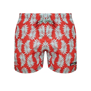 Foto 1 | Foto 1 | Traje De Baño Cortó Para Niño Secado Rápido