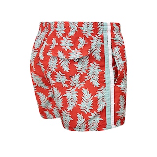 Foto 5 | Foto 5 | Traje De Baño Cortó Para Niño Secado Rápido