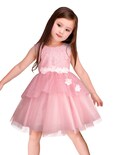Vestido de Fiesta Rosa Palo Con Brillos Y Flores 3d Para Niñas Gerat