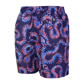 Foto 4 | Foto 4 | Traje De Baño Corto Para Hombre Secado Rápido
