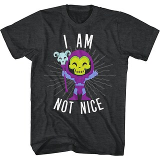 Foto 1 | Foto 1 | Camiseta Rockinstone Skeletor I Am Not Nice Masters Of The Un - Venta Internacional.