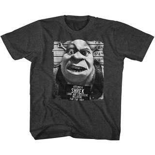 Foto 1 | Foto 1 | Camiseta Rockinstone Shrek Mugshot Para Jóvenes - Venta Internacional.
