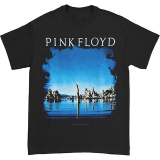 Foto 1 | Foto 1 | Camiseta Rockinstone Pink Floyd Wish You Were Here Back - Venta Internacional.