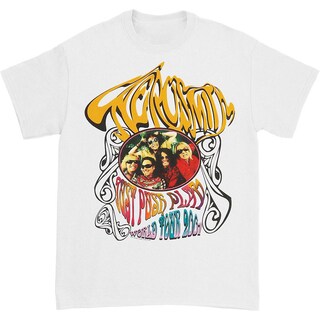 Foto 1 | Foto 1 | Camiseta Rockinstone Aerosmith Hippie 100% Algodón - Venta Internacional.