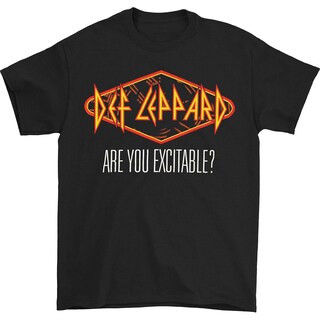 Foto 1 | Foto 1 | Camiseta Rockinstone Def Leppard Excitable 2013 Spring Tour - Venta Internacional.