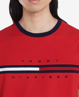 Foto 3 | Foto 3 | Camiseta Tommy Hilfiger De Manga Corta Con Estampado De Rayas Exclusivas Para Hombre - Venta Internacional.