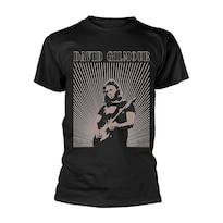 Camiseta Rockinstone David Gilmour Live 100% Algodón - Venta Internacional.