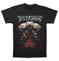 Camiseta Rockinstone Testament Brotherhood North America 2017 - Venta Internacional.