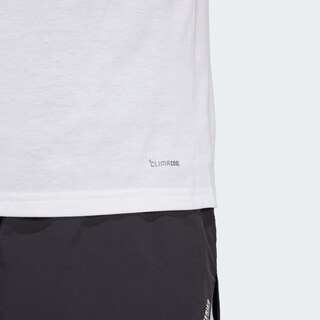 Foto 6 | Foto 6 | M Box Logo G T Adidas Blanco Hombre