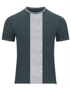 Foto 3 | Foto 3 | Playera Hombre Roosevelt Ucla-le2506 Gris Obscuro