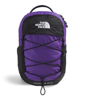 Foto 1 | Foto 1 | Mochila The North Face Mini Borealis Commuter 10l Morada - Venta Internacional