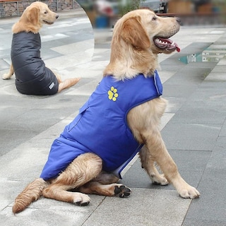 Foto 1 | Foto 1 | Chaleco Para Perros, Chaquetas, Impermeables, Reversibles, De Invierno, Huoguo - Venta Internacional.
