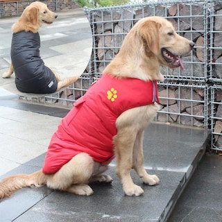 Foto 1 | Foto 1 | Chaleco Para Perros, Chaquetas, Impermeables, De Invierno, Reversibles, - Venta Internacional.