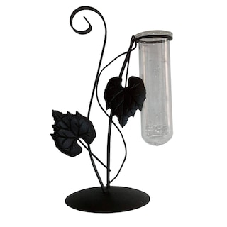 Foto 1 | Foto 1 | Florero de Hierro Chic Fantasy Tubo Vidrio para Flores Plantas Hidropónicas