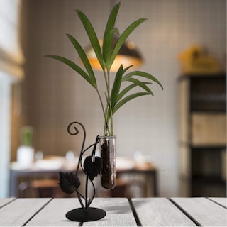 Foto 3 | Foto 3 | Florero de Hierro Chic Fantasy Tubo Vidrio para Flores Plantas Hidropónicas