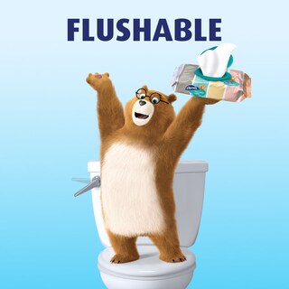 Foto 4 | Foto 4 | Toallitas Húmedas Charmin Freshmates  Desechables  Sin Perfume  12 Unidades  40 Hojas - Venta Internacional.