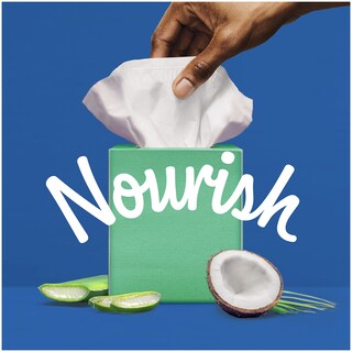 Foto 7 | Foto 7 | Loción Calmante Tissue Kleenex Con Aloe Aceite De Coco Y Vitamina E - Venta Internacional.