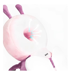 Foto 4 | Foto 4 | Casco Para Bebe Antigolpes Gorro Protector Cabeza Acolchada Mariposa Rosa