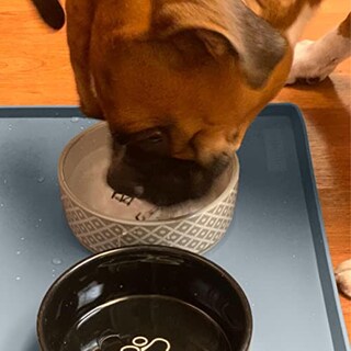 Foto 4 | Foto 4 | Alfombrilla Impermeable Para Mascotas Finorder, Extra Grande, 34 X 21 Cm - Venta Internacional.