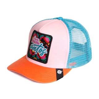 Foto 2 | Foto 2 | Gorra Curva Con Malla Original Pook Tacos Before Vatos