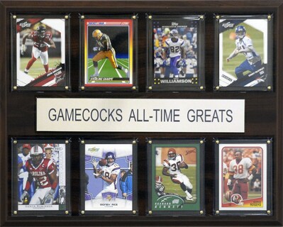 Foto 1 | Foto 1 | Placa C&i Collectables Ncaa Gamecocks De Carolina Del Sur - Venta Internacional.