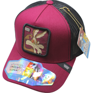 Foto 1 | Foto 1 | Gorra Lt Wile E. Coyote 404b