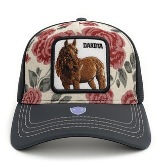 Foto 2 | Foto 2 | Gorra Knite Dakota Trucker Urbana Cachucha Para Hombre