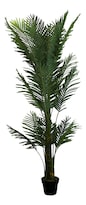 Planta Artificial de Plástico Jauz Improvement 0242 Tipo Palma 180 cm