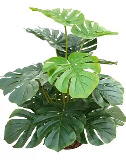 Foto 2 | Foto 2 | Planta Artificial de Plástico Jauz Improvement 4_JOSI0233 Tipo Mini Monstera 35 cm 4 Piezas
