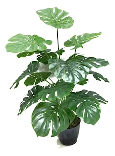 Foto 4 | Foto 4 | Planta Artificial de Plástico Jauz Improvement 4_JOSI0233 Tipo Mini Monstera 35 cm 4 Piezas