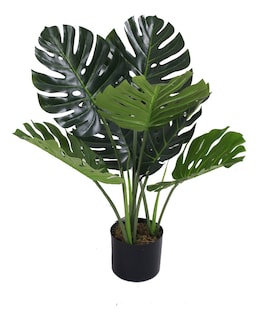 Foto 1 | Foto 1 | Planta Artificial Jauz Monstera 65 cm